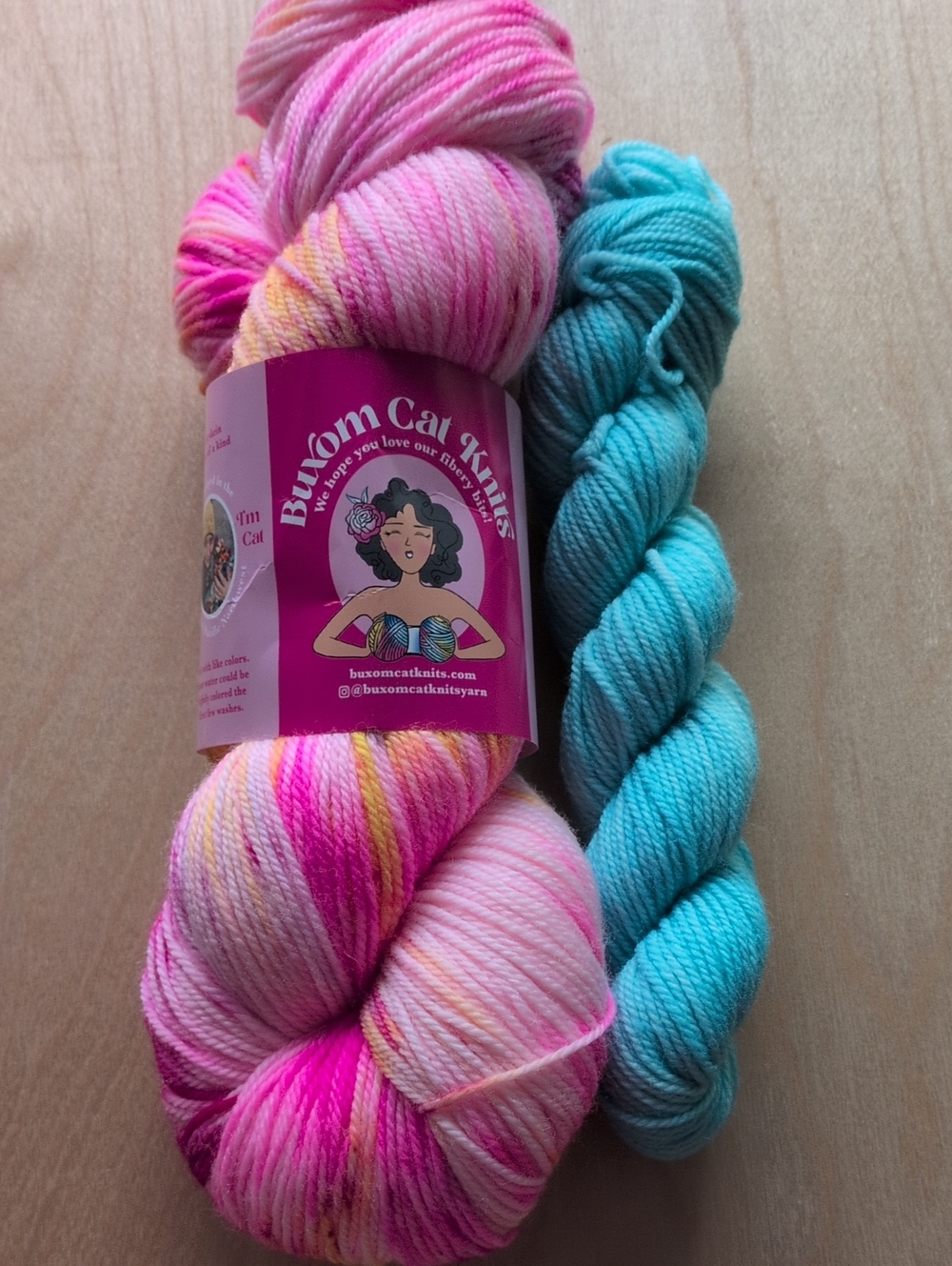 Buxom Cat Knits Hand-Dyed  Sock Yarn - 2 Skeins Dana's Destash!